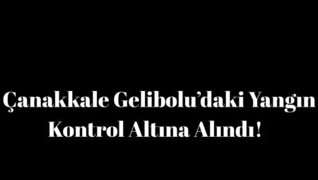 Çanakkale Yangınında Son Durum: Çanakkale Gelibolu’daki Yangın Kontrol Altına Alındı!