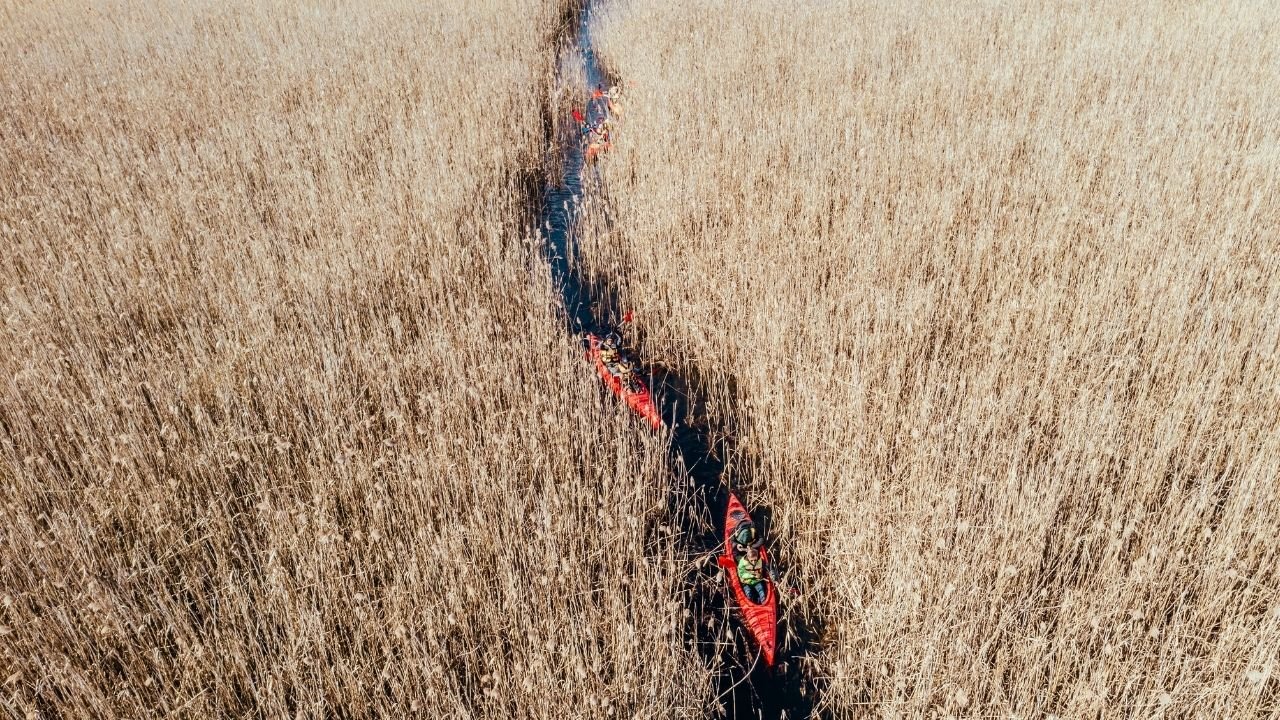 Doğu Anadolu Fay Hattı
